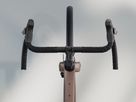 CHECKPOINT SL 7 AXS GEN 3 Gravelbike / bronze age smoke / L