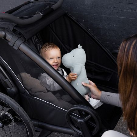 CHARIOT SPORT 2 single Kinderanhänger / black