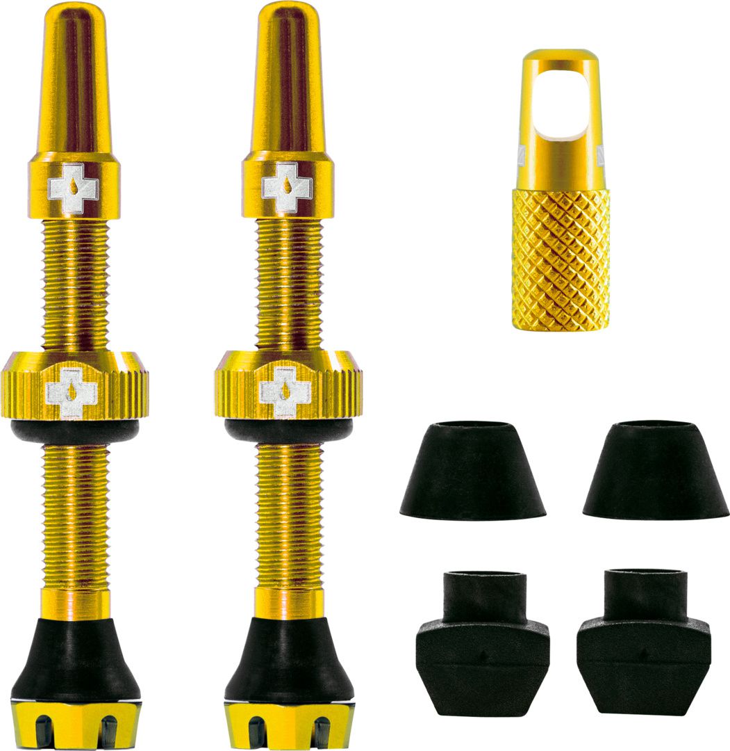 V2 Tubeless Ventil Kit / Gold / 44 mm