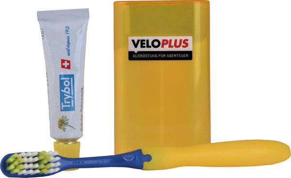 DENTO FRESH Zahnbürsten-Set