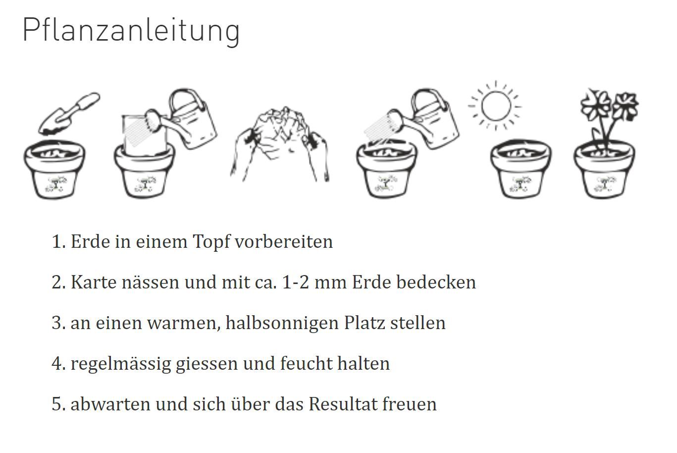Growing Paper Karte Velo / gelb