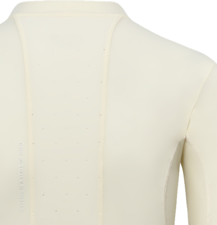 PERFORMANCE Herren-Langarmtrikot / bone / M