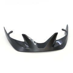 Register Visor / black/silver