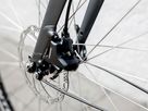 FX 2 DISC EQ City- und Alltagsvelo / satin lithium grey / S