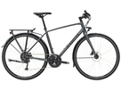 FX 2 DISC EQ City- und Alltagsvelo / satin lithium grey / S