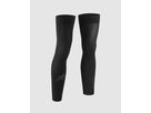 ASSOSOIRES Spring Fall Leg Warmers / black / 1
