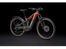 POWERFLY+ FS 4 EQ GEN 4 E-MTB Fully / pennyflake olive / L