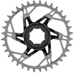 Chainring XX Eagle AXS Transmission Brose/SRAM Direct Mount / black/silver / 34T