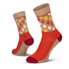 Grand Tours 2024 / orange / 39-42