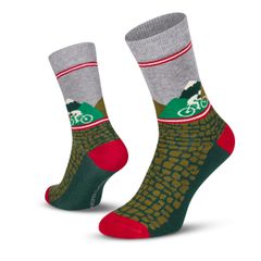 Gottardo Socks 2024 / green / 35-38