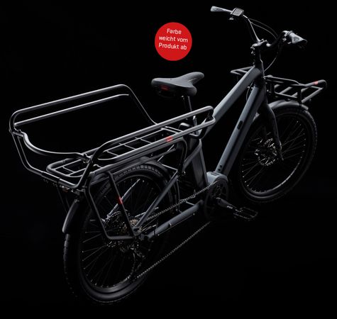 BOOST 10D CX Step Through E-Cargobikes 25km/h / wasabi green