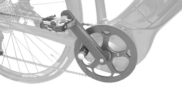 Bit Set für E-Bike Antrieb Inbus 5/6 mm Torx 30