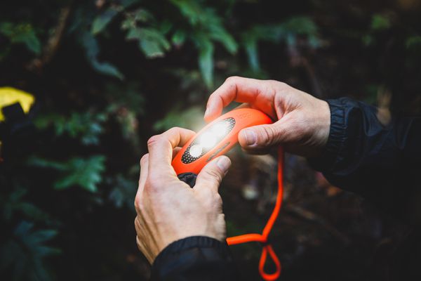 Stirnlampe Bilby / fluro orange