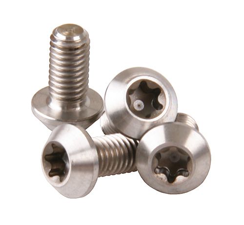 TITAN Torxschrauben T25 M5x10mm für Bremsscheiben und Bidonhalter / silber
