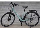 UBARI DELUXE TIE City- und Alltagsvelo / moreagrün / S