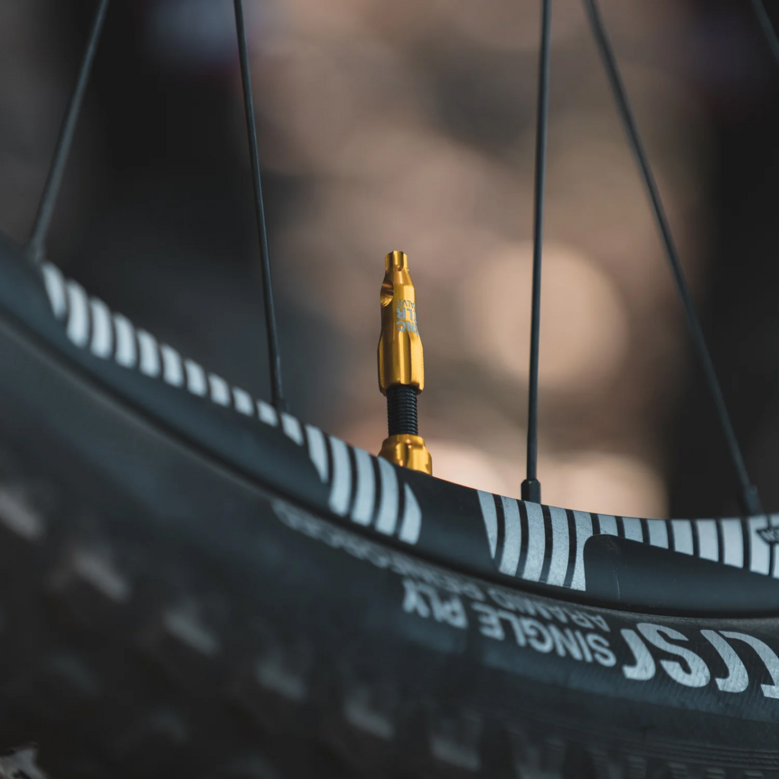 CNC TLR Valve Cap / gold