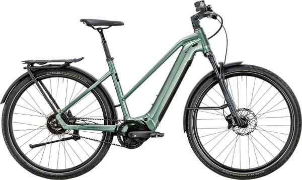 ENJOY GT 8 GOR E-City- und Alltagsvelo / D. Green gla. p. / 50cm