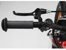 FLiZZi 20 RIEMEN Kindervelo / rot/dunkel / 20 ZOLL