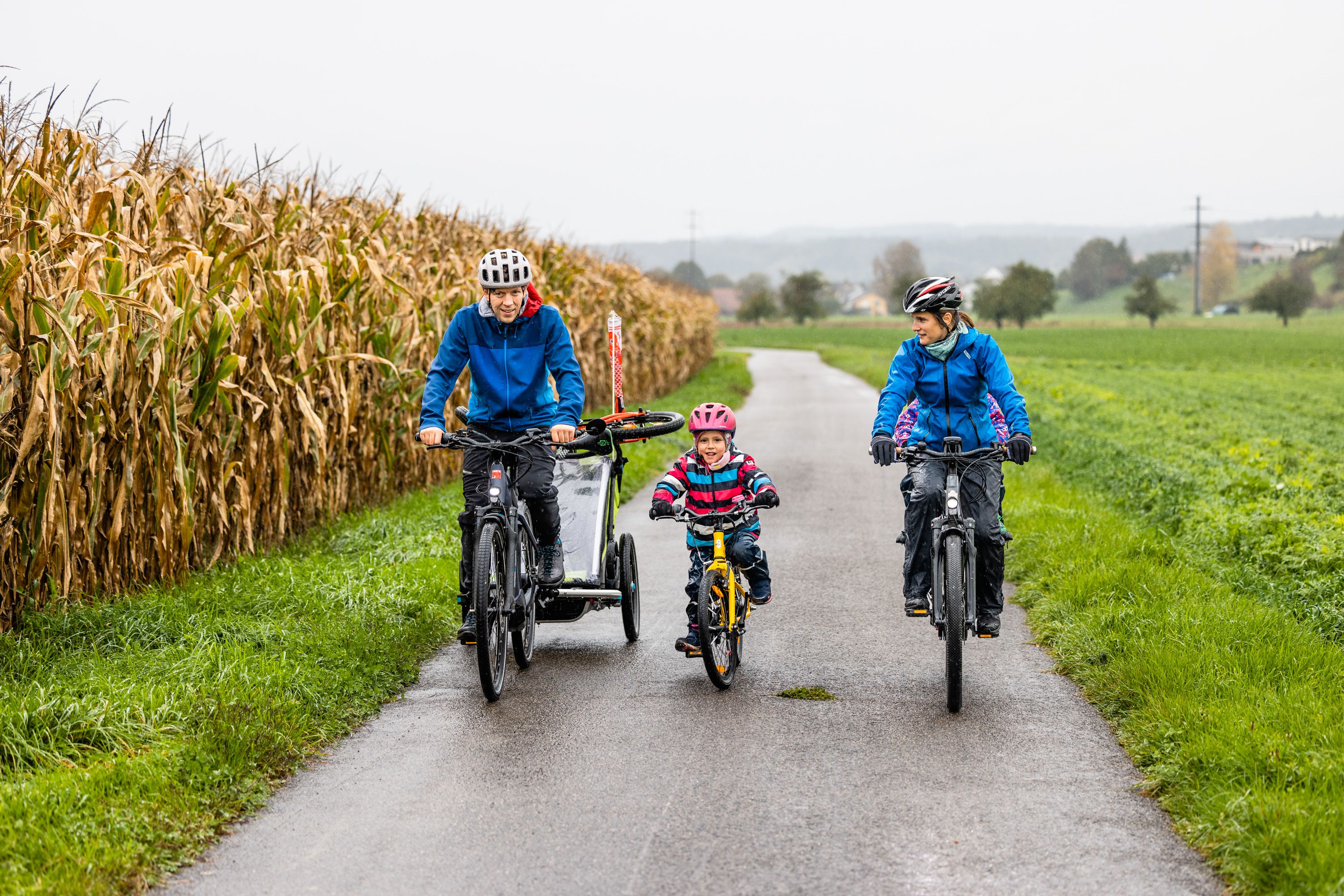 VELOPLUS-FISCH Anhängerfahne für Veloanhänger / schwarz