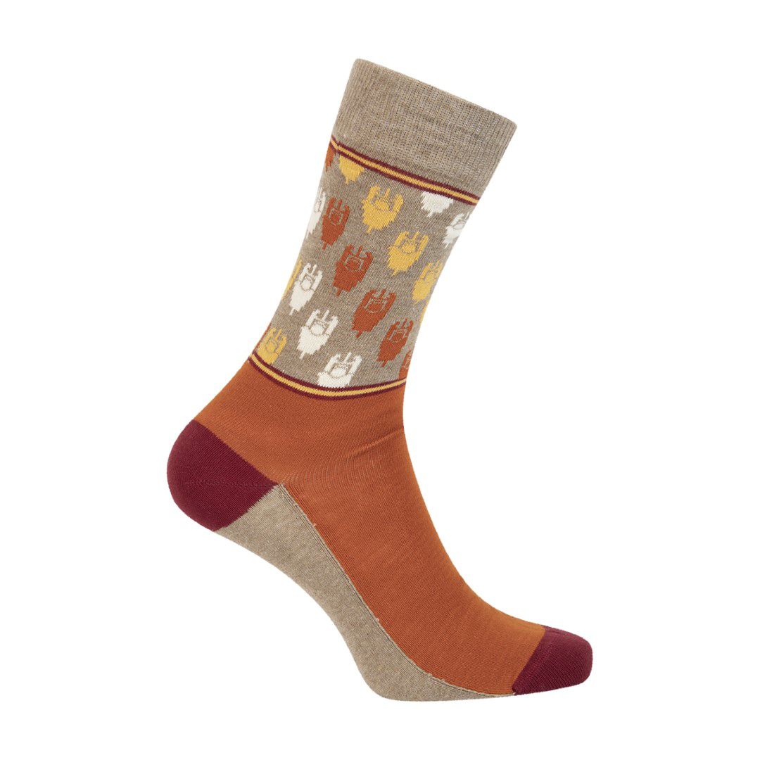 Grand Tours 2024 / orange / 39-42