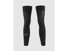 ASSOSOIRES Spring Fall Leg Warmers / black / 1