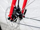 FX 2 DISC EQ City- und Alltagsvelo / satin viper red / S