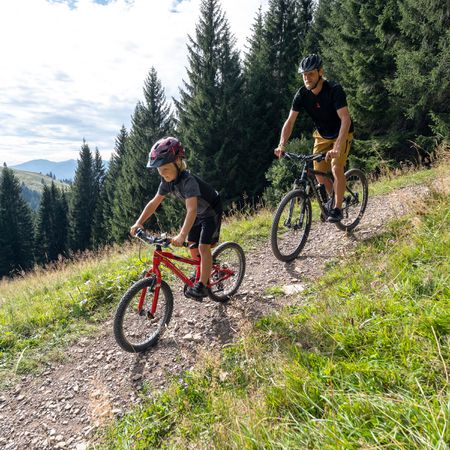FREERIDER KIDS Flatpedal-Schuhe / wiltea_sand_hazeme / 35