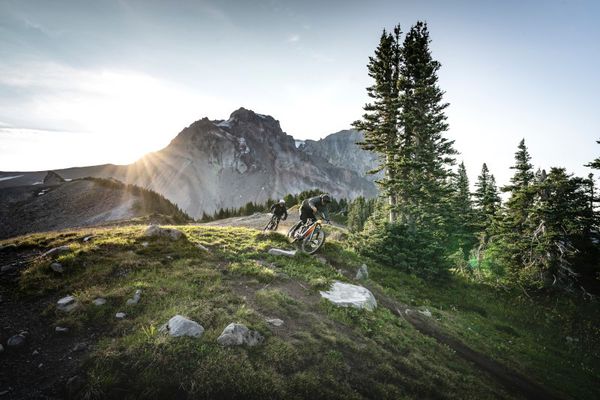 FUEL EX 8 XT MTB Fully / rot / S