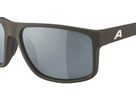 NACAN I Freizeit-/Sportbrille / coffee-grey matt