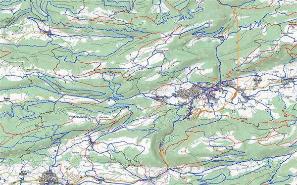 SINGLETRAIL MAP Bike-Karten / LENZERHEIDE/AROSA 102