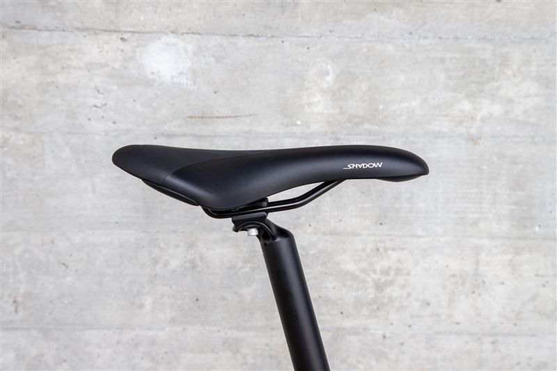 DAILY QUEST Pinion City- und Alltagsvelo / grün / 58 CM