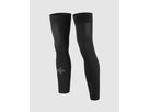 ASSOSOIRES Spring Fall Leg Warmers / black / 1
