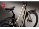 BOOST 10D CX Step Through E-Cargobikes 25km/h / wasabi green
