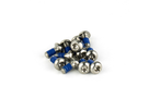 Rotor Bolt Kit T25 Titanium Qty 12 / silver