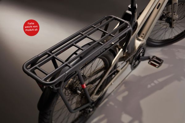 BOOST 10D CX Step Through E-Cargobikes 25km/h / wasabi green