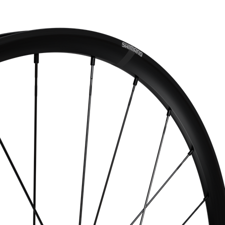 WH-RX180 Hinterrad 28", Achse 12mm / schwarz / HG L 2x12,  DB CL, 142mm