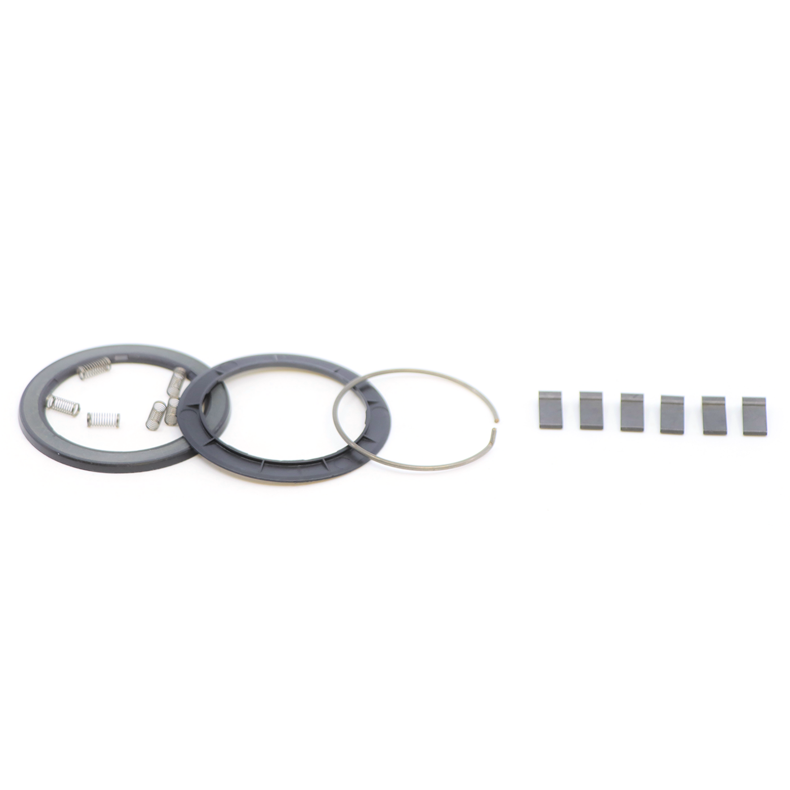 Spring and pawl Set for Zipp ZR1/ZM2 SL Hubs