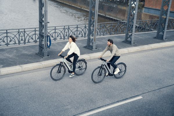 ROADSTER TOURING E-City und Alltagsvelo 25km/h / grey matt / 61 CM