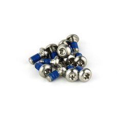 Rotor Bolt Kit T25 Titanium Qty 12 / silver