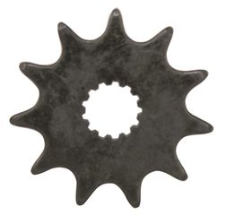 FLYER Motorritzel 10 Zähne / schwarz / 10 Zähne