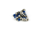 Rotor Bolt Kit T25 Titanium Qty 12 / silver