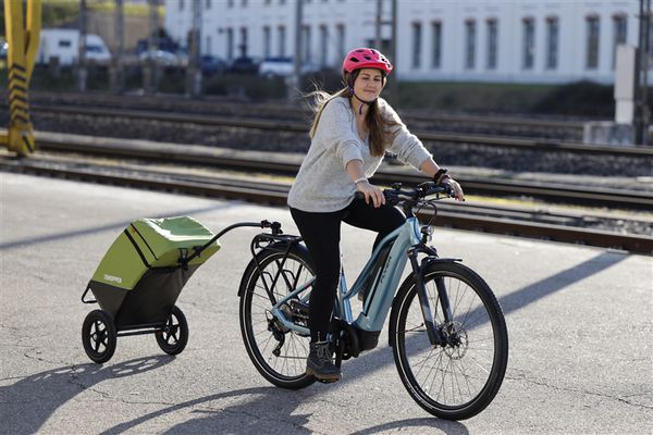 VELOSHOPPER Einkaufswagen / grün