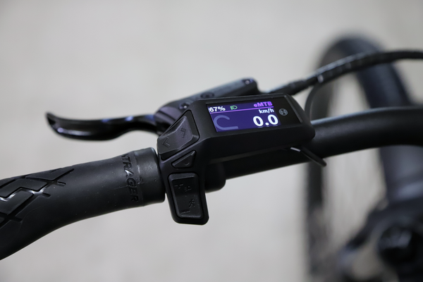 POWERFLY+ 4 EQ 800 GEN 5 E-MTB / dark star dark web / M