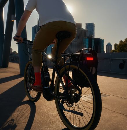 Rücklicht Blinder Link Rack Mount / black