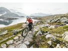 LEVO COMP CARBON E-MTB Fully / black light silver black / S2