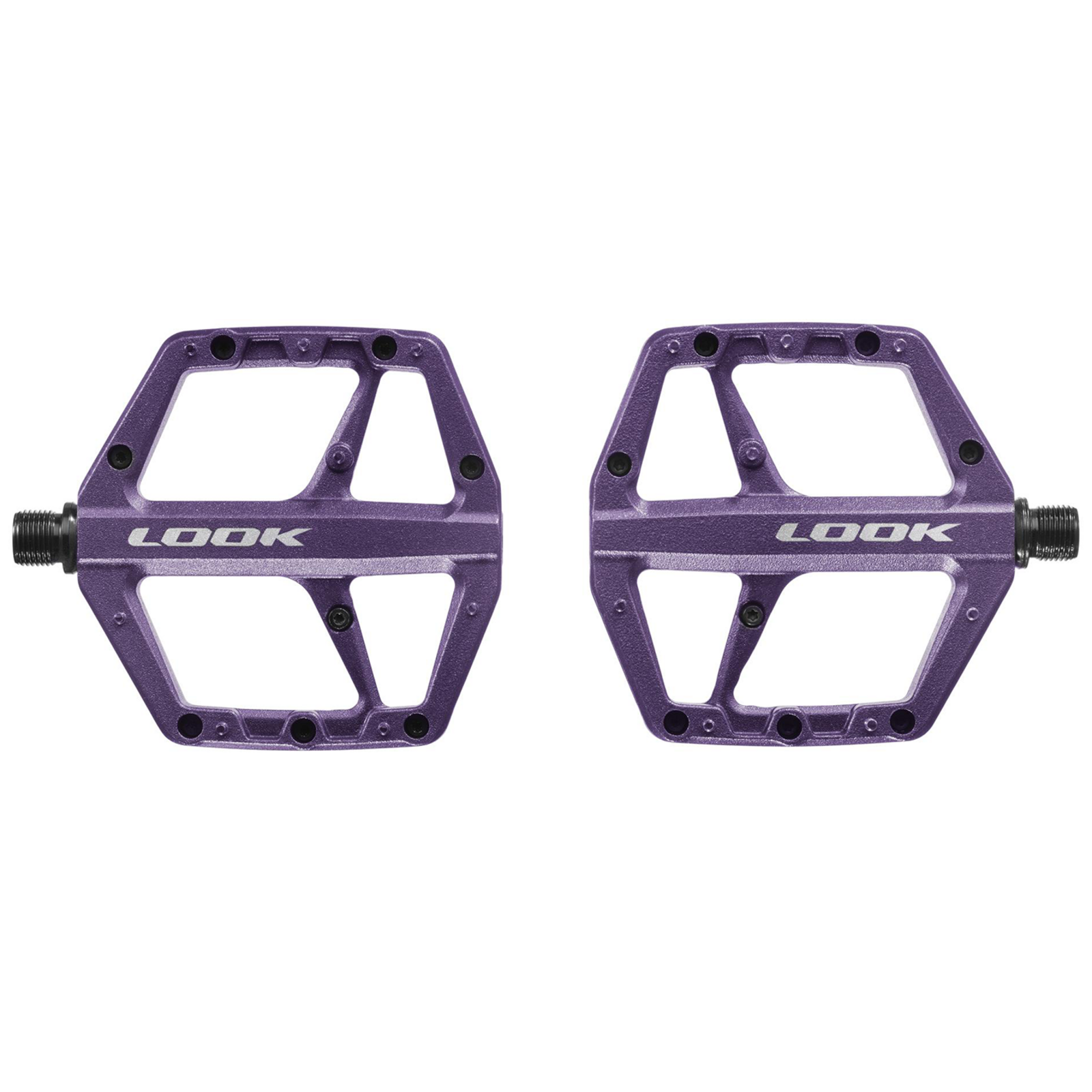TRAIL ROC / night purple
