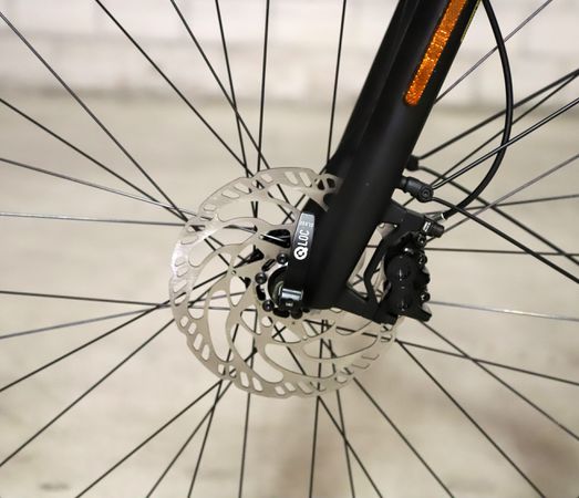 ROADSTER4 MIXTE TOURING HS E-Bike 45 km/h / salvia matt / 53 CM