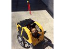 PET-RIDE Hundeanhänger / gelb