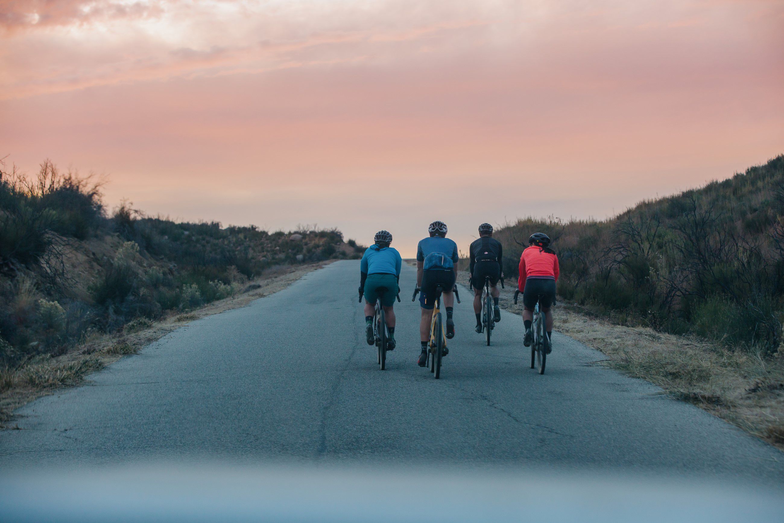 DIVERGE COMP CARBON Gravelbike / satin olive oak chrome wild / 56 CM