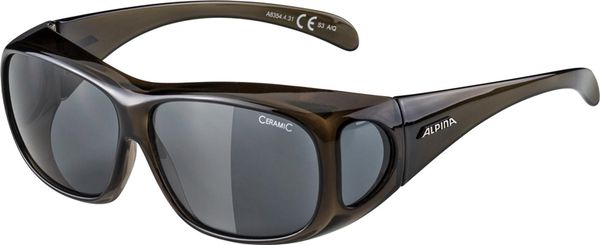 OVERVIEW Brille mit dunkelgrauem Glas / schwarz
